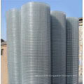 Galvanized Welded Wire Mesh Yd-Wwm-Gal